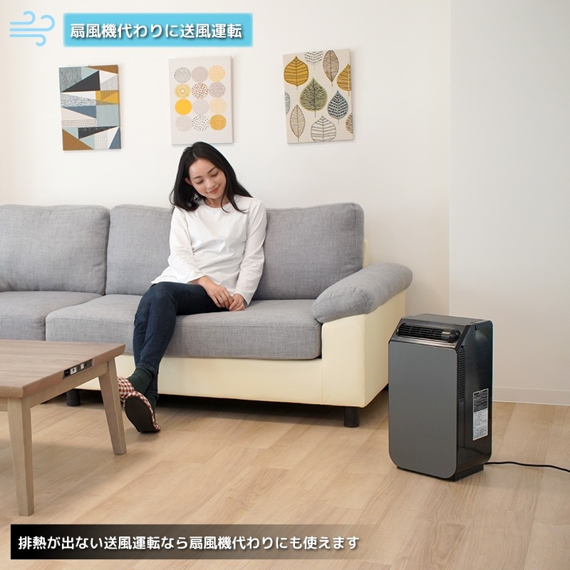 8_000000008478.jpg?1752121085