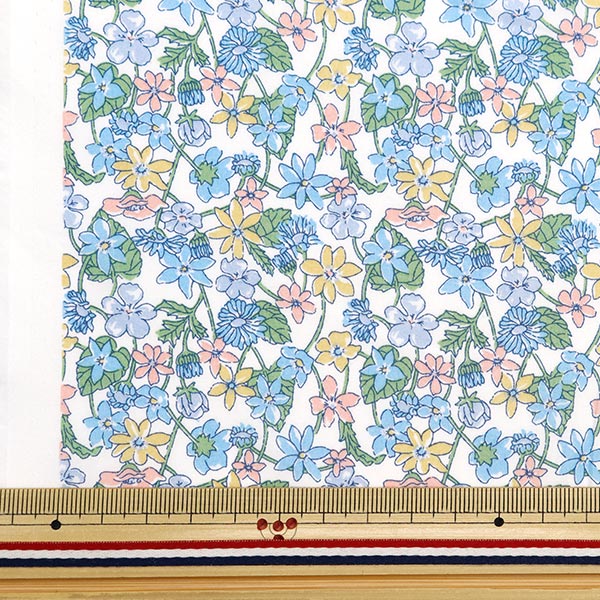 数量5から】 生地 『リバティ・ファブリックス タナローン カーメラ