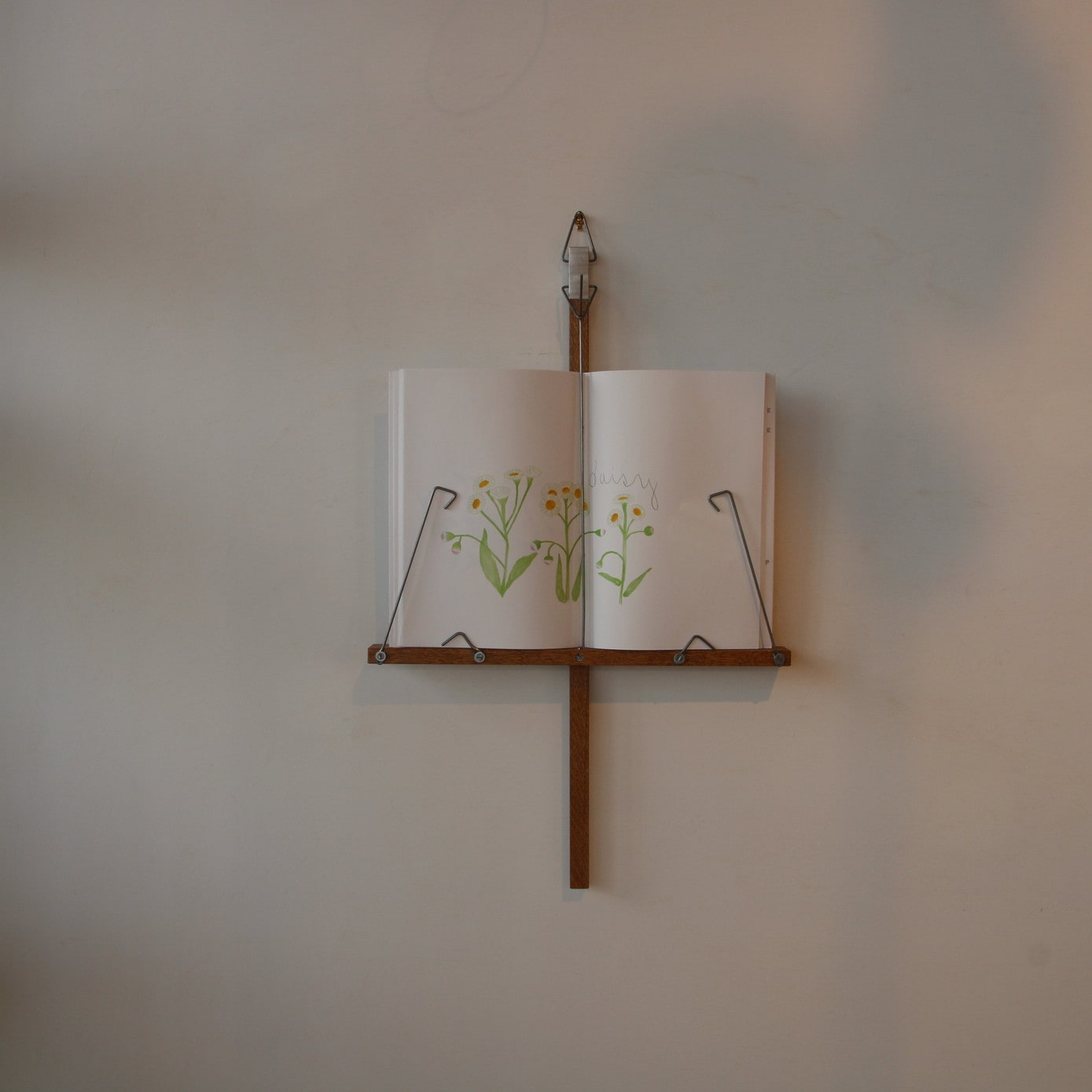 chikuni チクニ | zuiun onlineshop