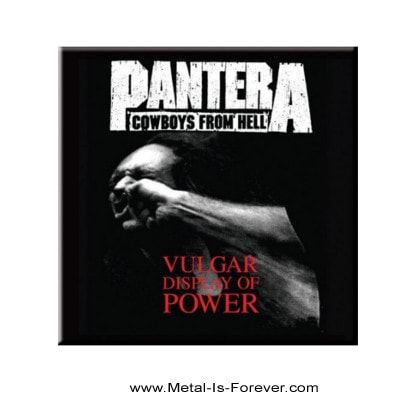 PANTERA (パンテラ) Vulgar Display of Power 「俗悪」 マグネット
