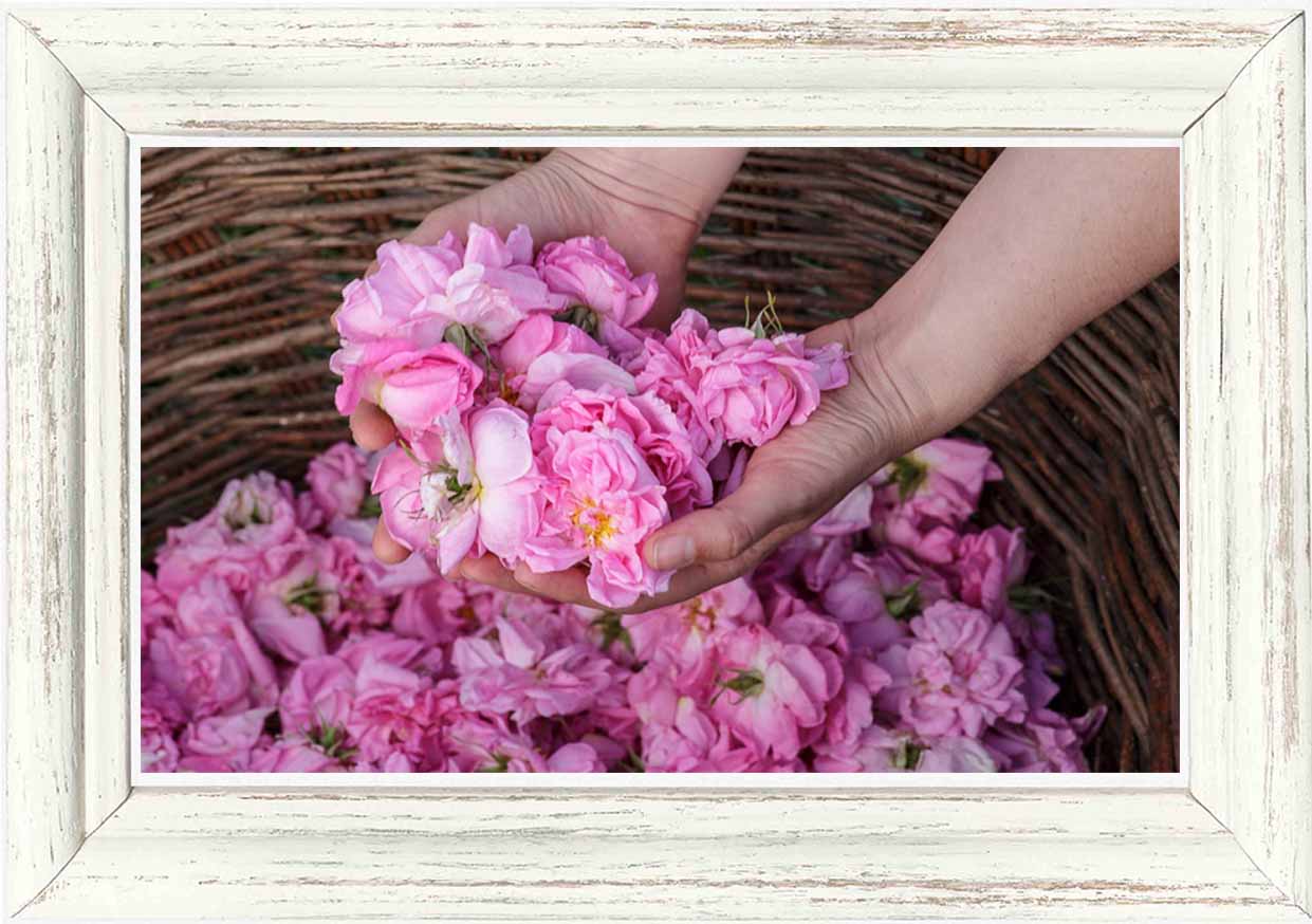 バラ売り1枚】ロザリナブライトニングフェイスマスク 1枚