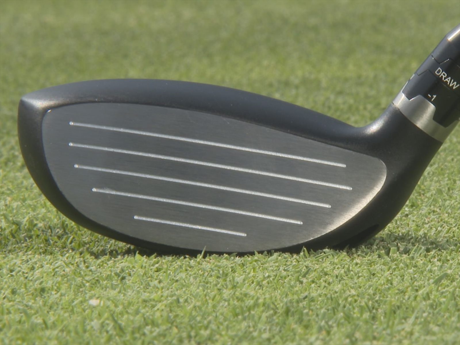 ムジーク] 【ムジーク】 DF2 ヘブン フェアウエイウッド | GGQ