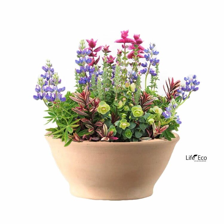 植木鉢 素焼き ホワイトテラコッタ 浅鉢 スムースボール 27cm（9号