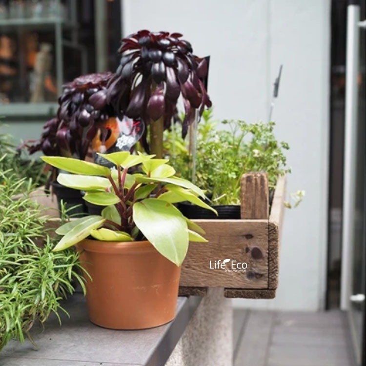 植木鉢 イタリア製 素焼き鉢 テラコッタ シリンダーポット 23cm（8号