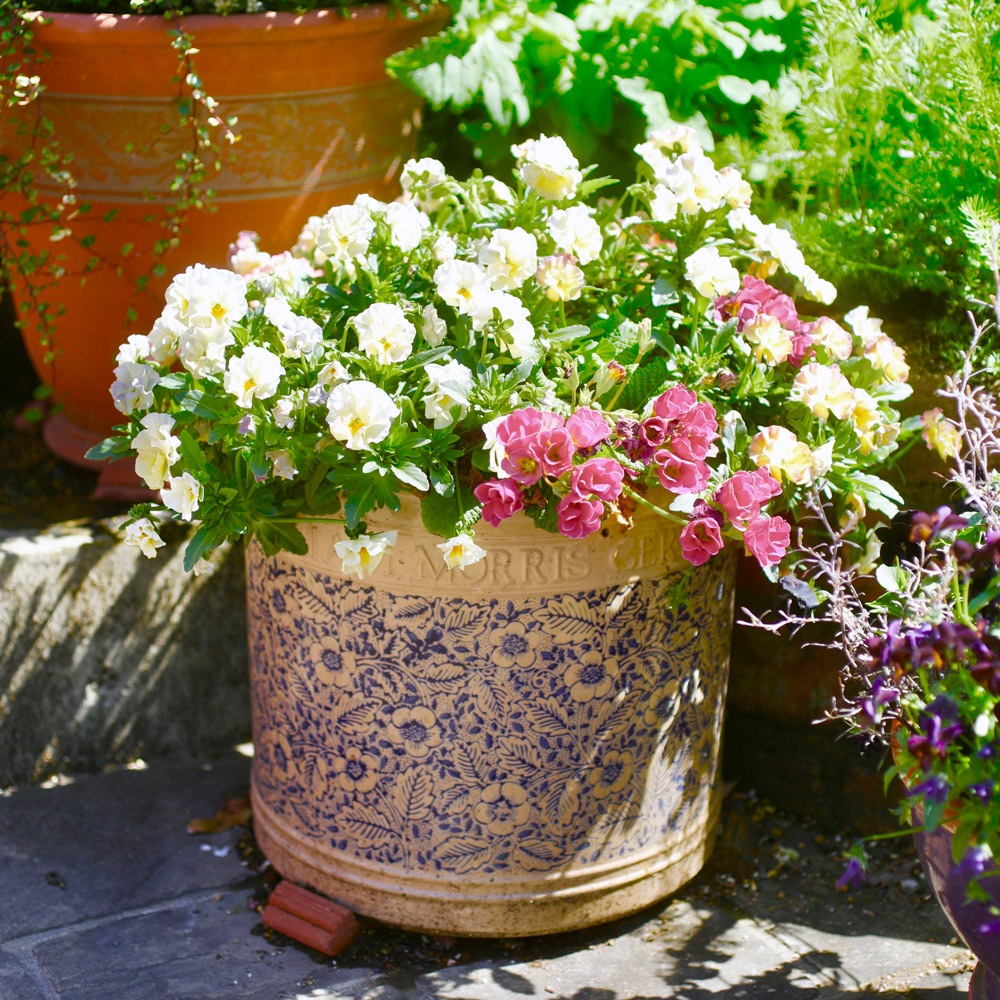 ウィリアム・モリス柄の植木鉢【フローラル】 | ガーデニンググッズ