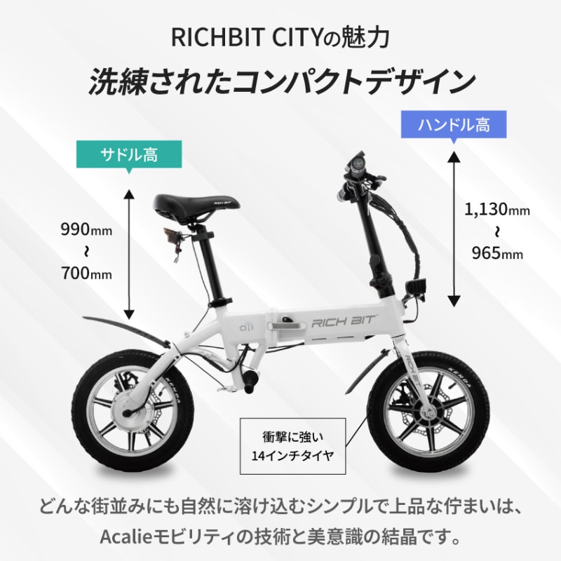 RICH-C RICHBIT CITY 特例特定小型原動機付自転車