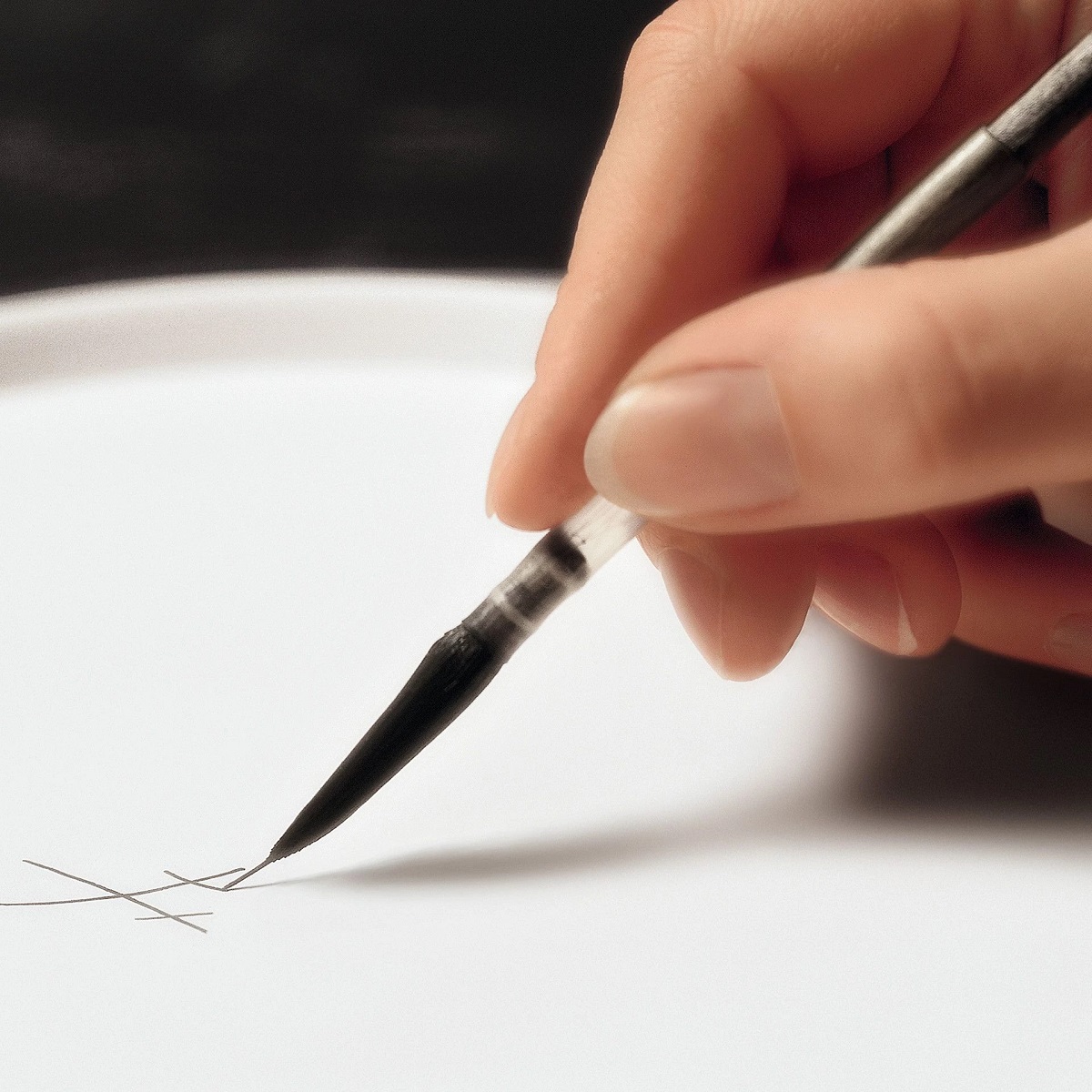 マイセン 2022年干支プレート 蝶々を見つめる密林のトラ 54614/76A130