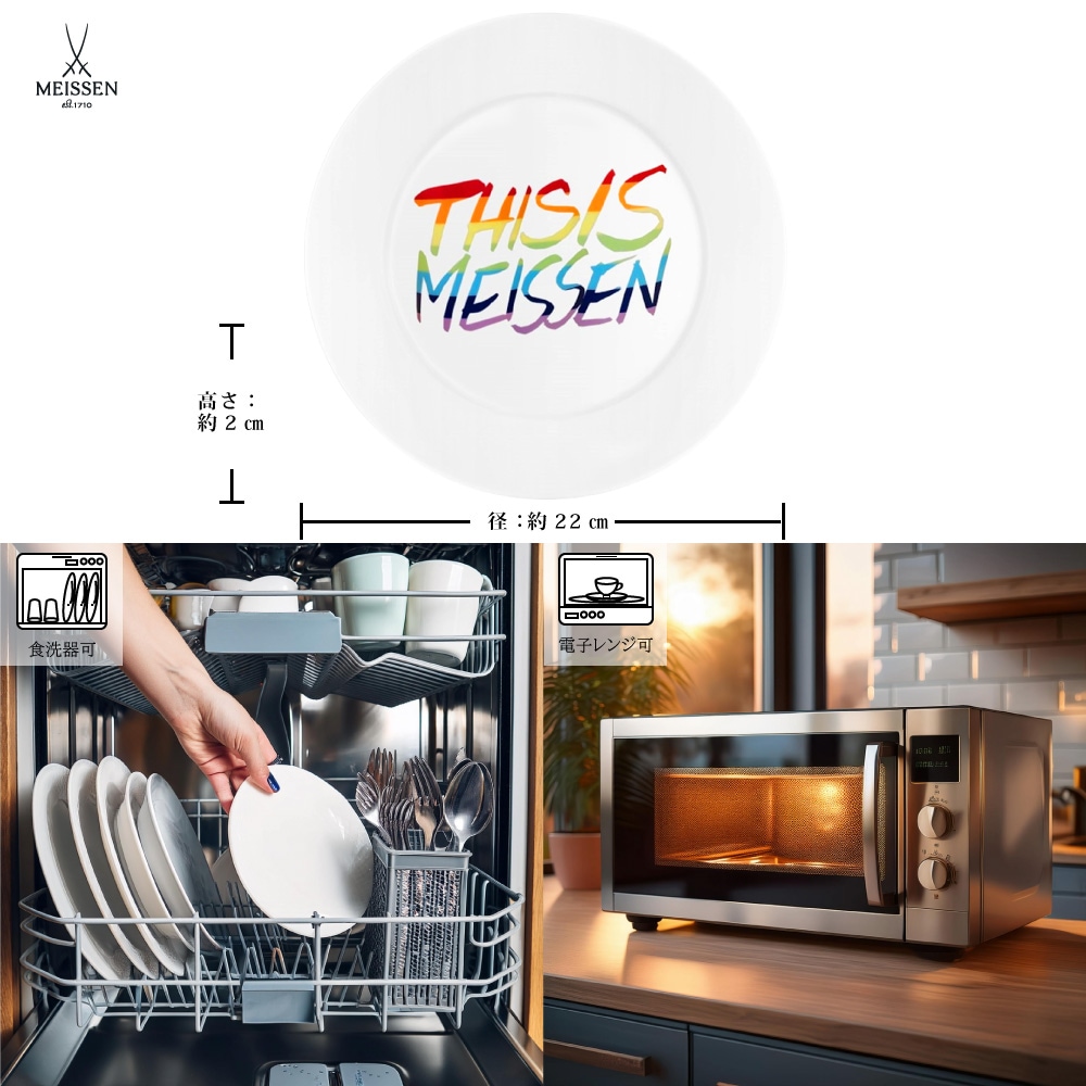 マイセン プレート22cm ディス イズ マイセン(レインボー) 79A356