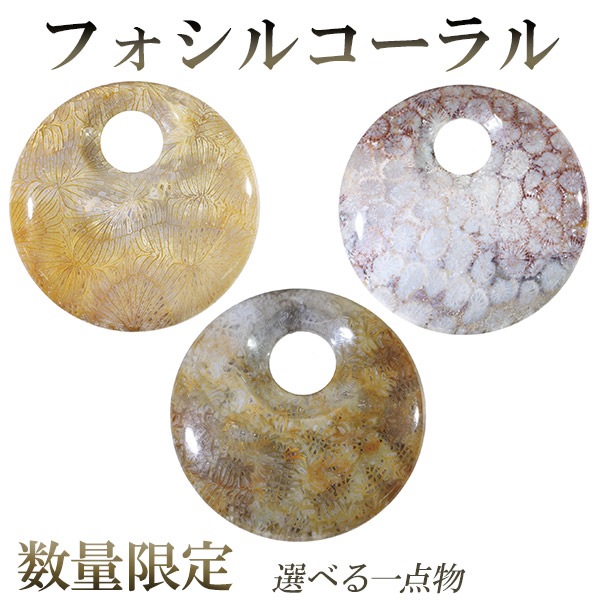 フォシルコーラル 磨き 数量限定 選べる 一点物 フォッシルコーラル