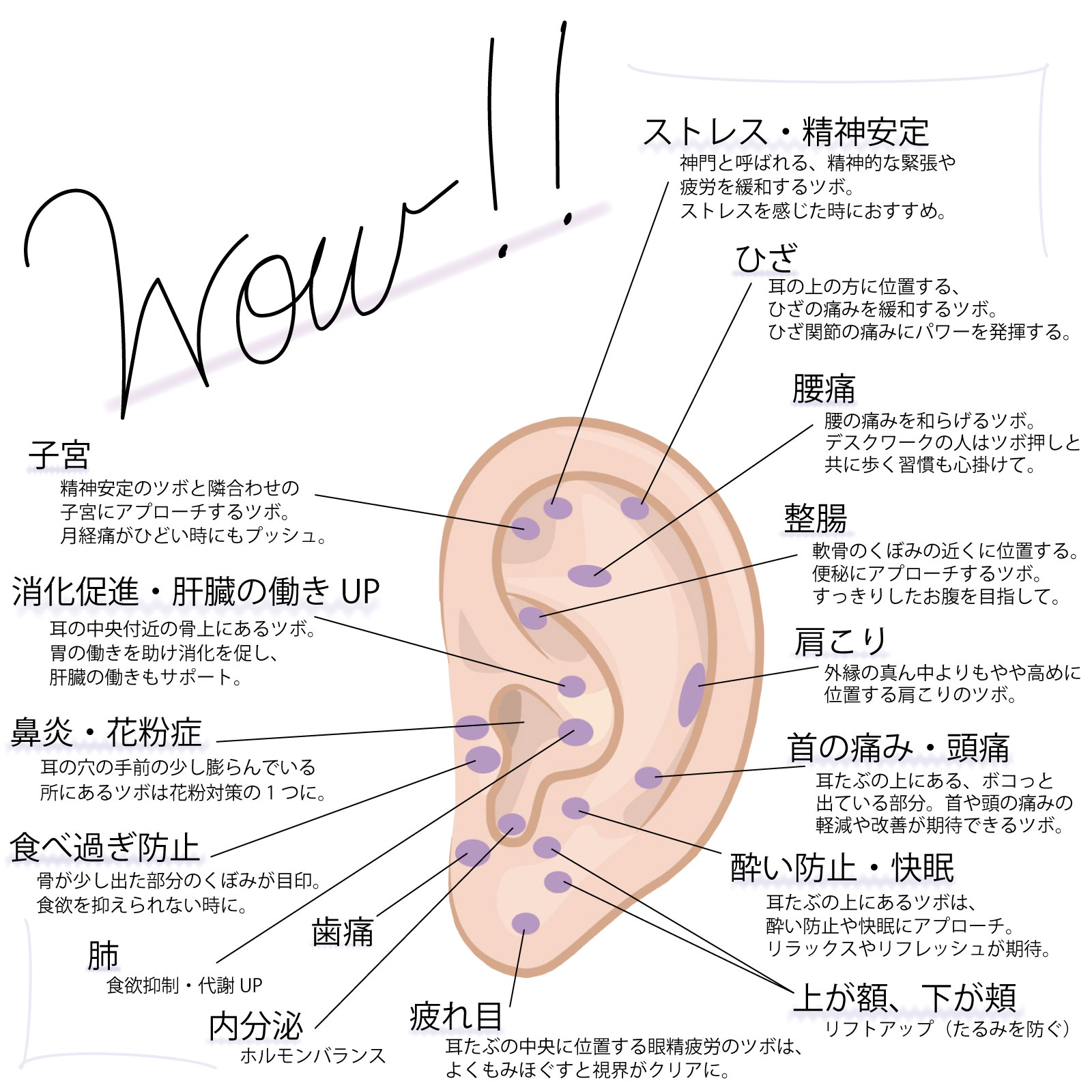 耳つぼシール ゴールド／シルバー｜パーツ材料の通販 大王製作所