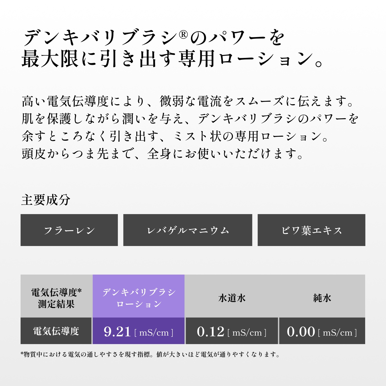 2本組】デンキバリブラシローション セット | ELECTRON ONLINE SHOP