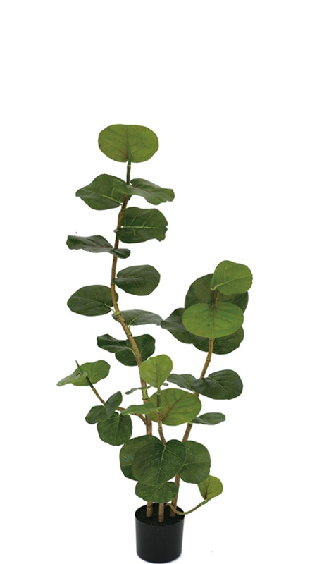 フェイクグリーン シーグレープ1250｜フェイクグリーン・人工植物 専門