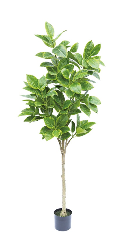 フェイクグリーン ウンベラータ1200｜フェイクグリーン・人工植物 専門