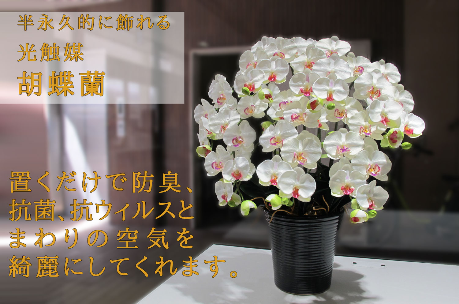 造花 光触媒 胡蝶蘭(大) 60,000円 | 地域限定商品 - 造花スタンド花