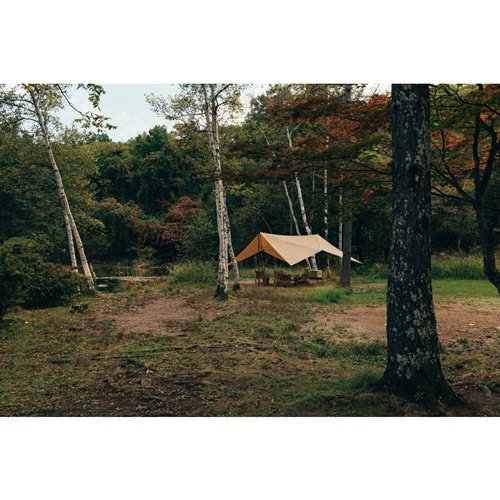 ゼインアーツ ZANE ARTS ゲウ GEU TP-003 | GLAGH グラフ