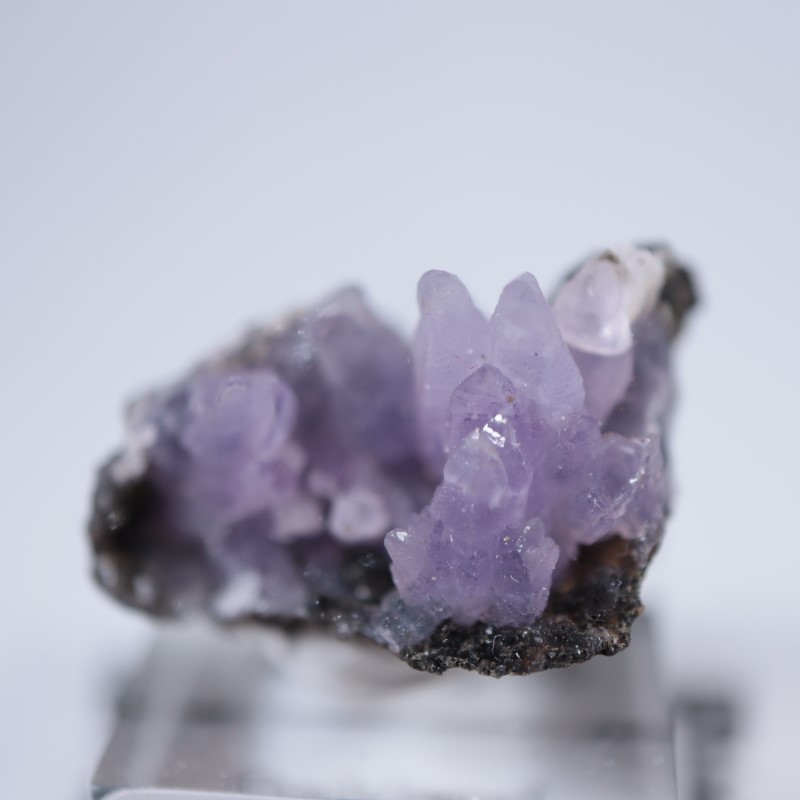 2_000000006139.jpg?1694776671