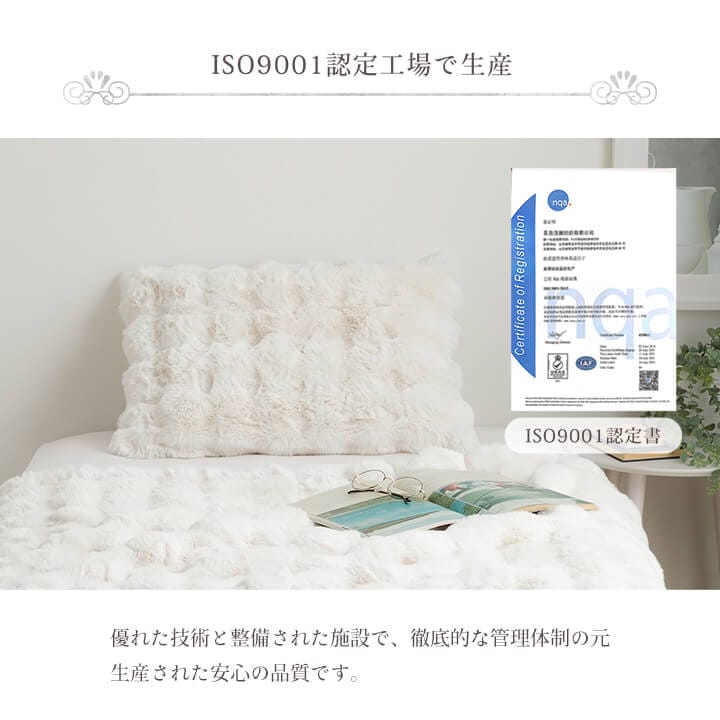 ふわとろ枕カバー ラピアスプレミアム 43×63㎝｜イケヒコ公式通販