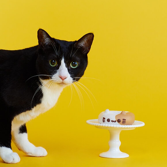 ねこの日スペシャルセット2025 | 新作・期間限定 | イクミママの