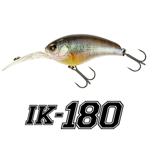 7_000000000388.jpg?1722916896