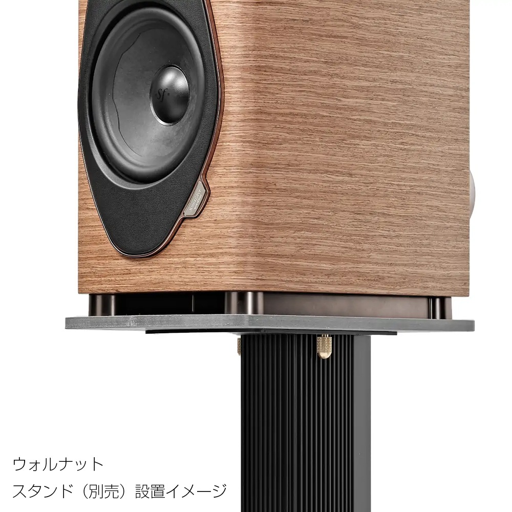 Sonus Faber - Sonetto I G2＜ソネット 1 G2＞/ウォルナット（ペア