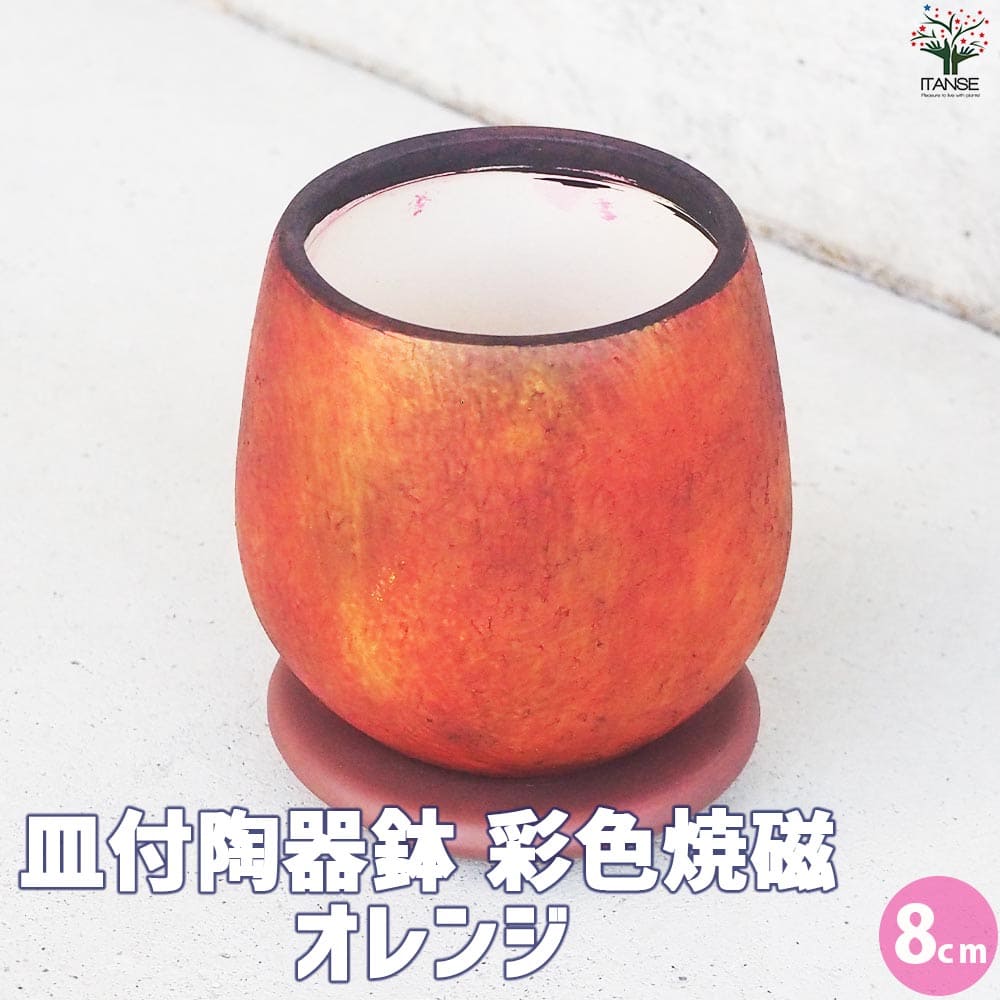 皿付陶器鉢 彩色焼磁 オレンジ【資材 8cm】｜ 【植物のITANSE