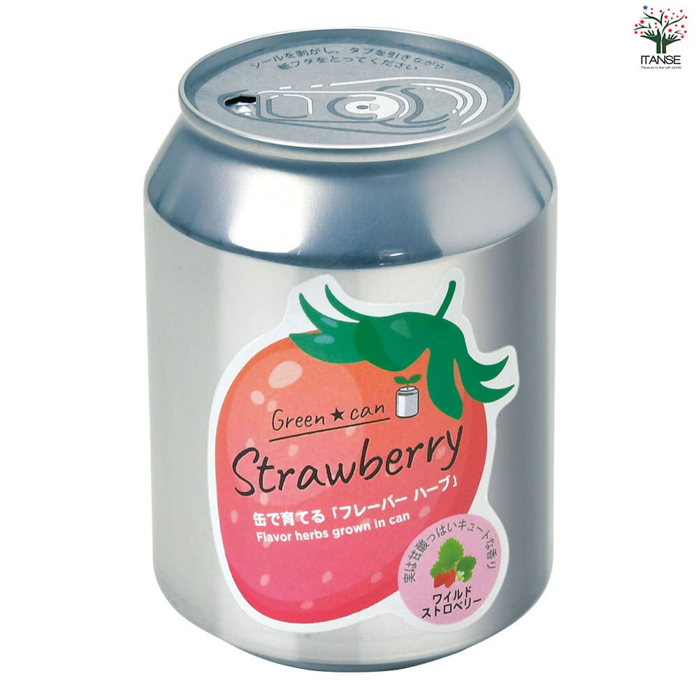 栽培セット グリーンカン ワイルドストロベリー 【1個売り】｜ 【植物