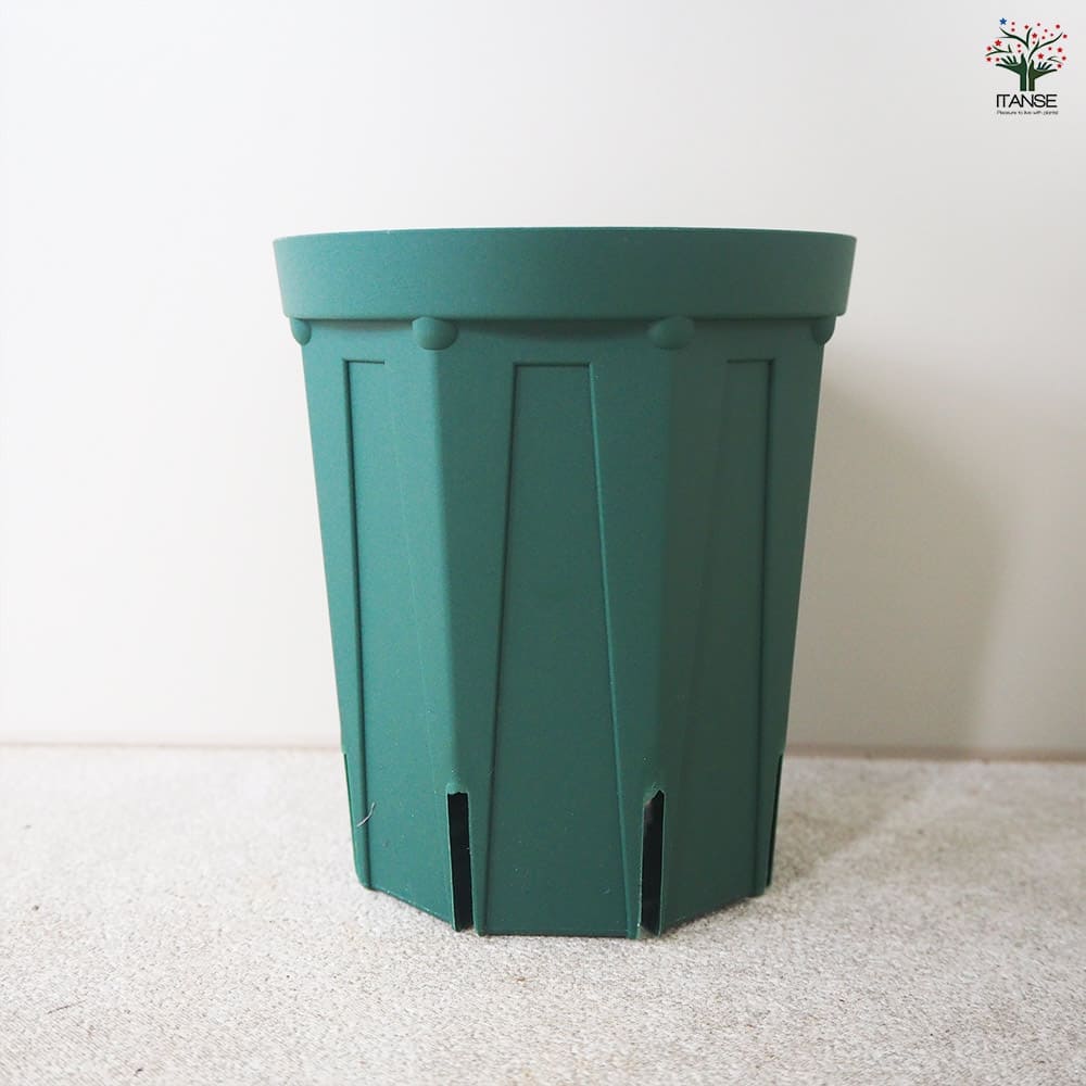 スリット鉢 【プラ鉢 4号ロング】｜ 【植物のITANSE】全品送料