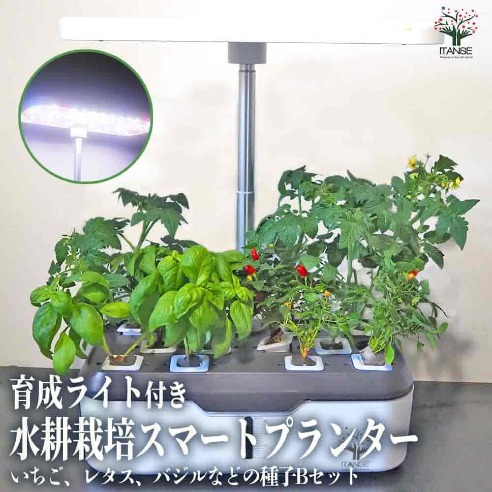 水耕栽培スマートプランターライト付 種子Bセット 【栽培キット