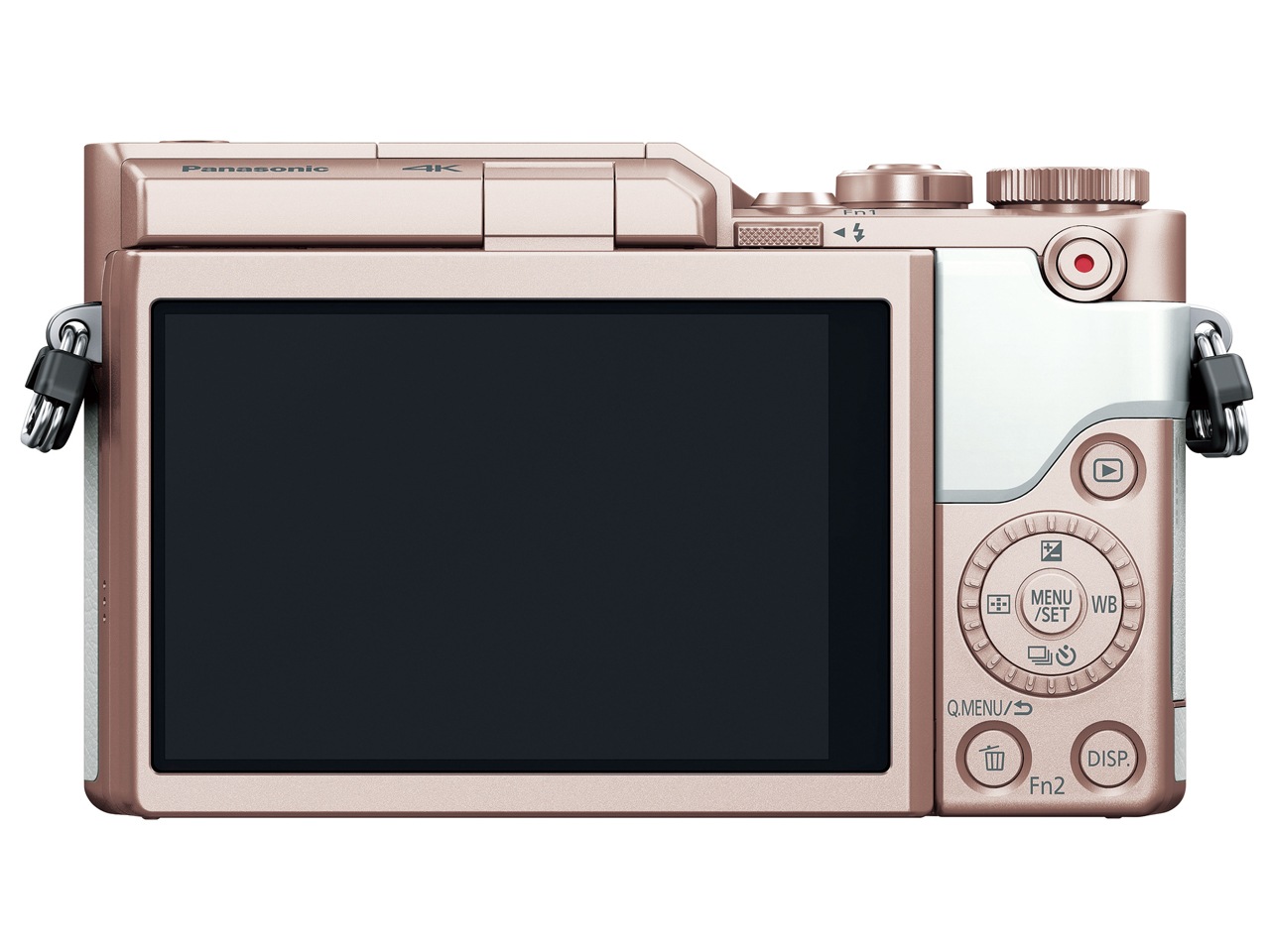 Panasonic パナソニック ミラーレス一眼カメラ ルミックス DC-GF10