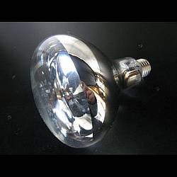 RF220V180WH || 白熱電球 岩崎電気(IWASAKI) 屋外投光用アイランプ