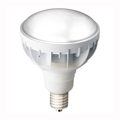 LDR50N-H-E39/W750 || LEDランプ 岩崎電気(IWASAKI) レディオックLED