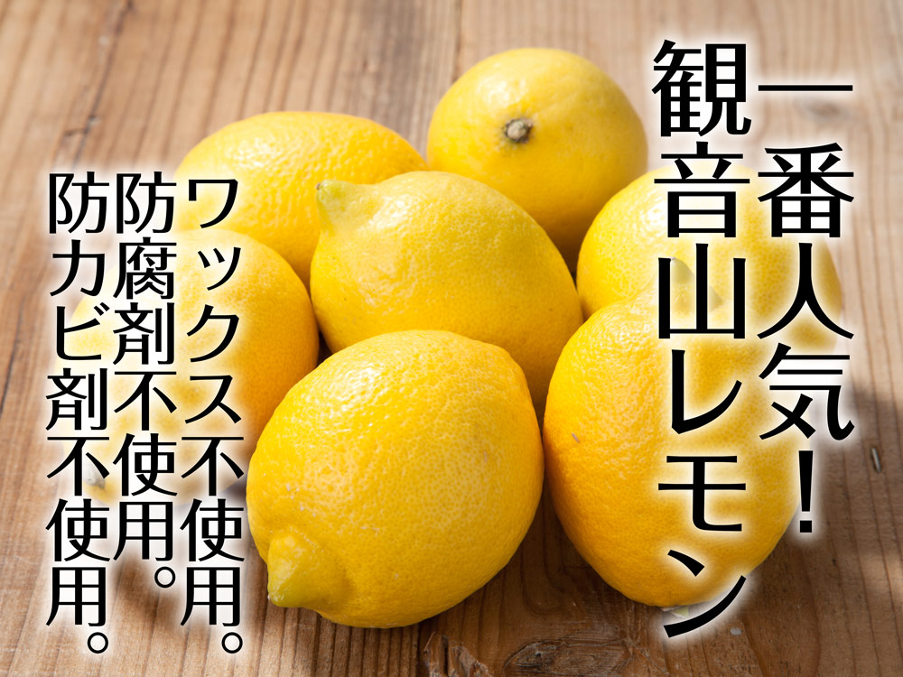 国産レモン たおやか 天皇皇后両陛下献上の観音山レモン 和歌山県