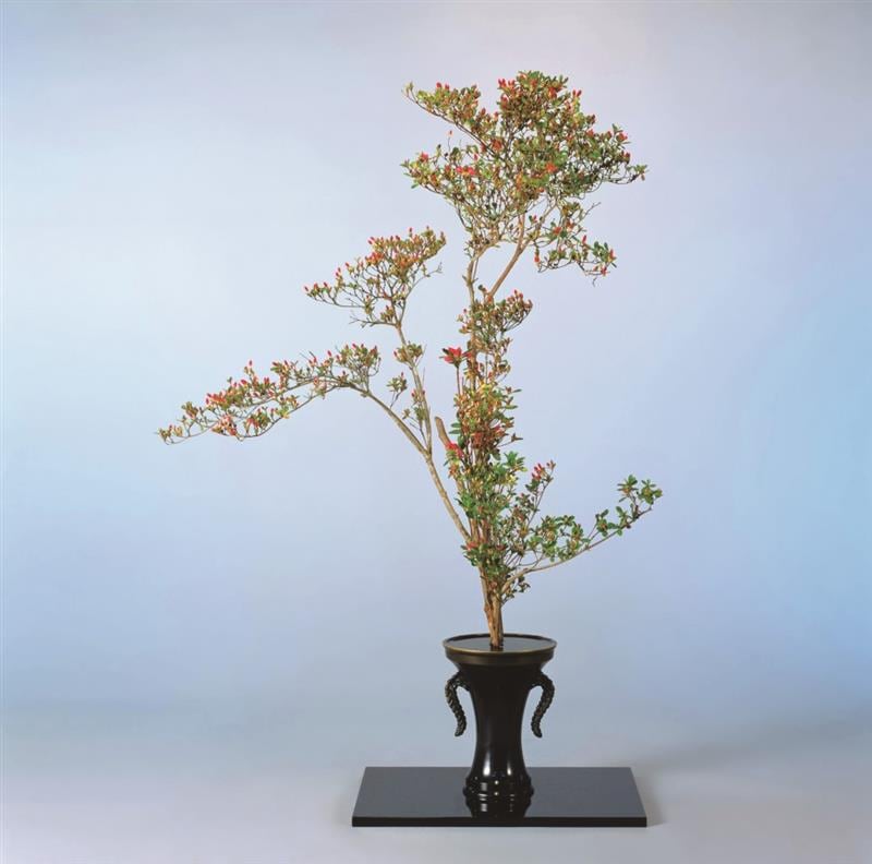 紫雲 | 花器・花瓶,銅器 | フラワーショップ花楽