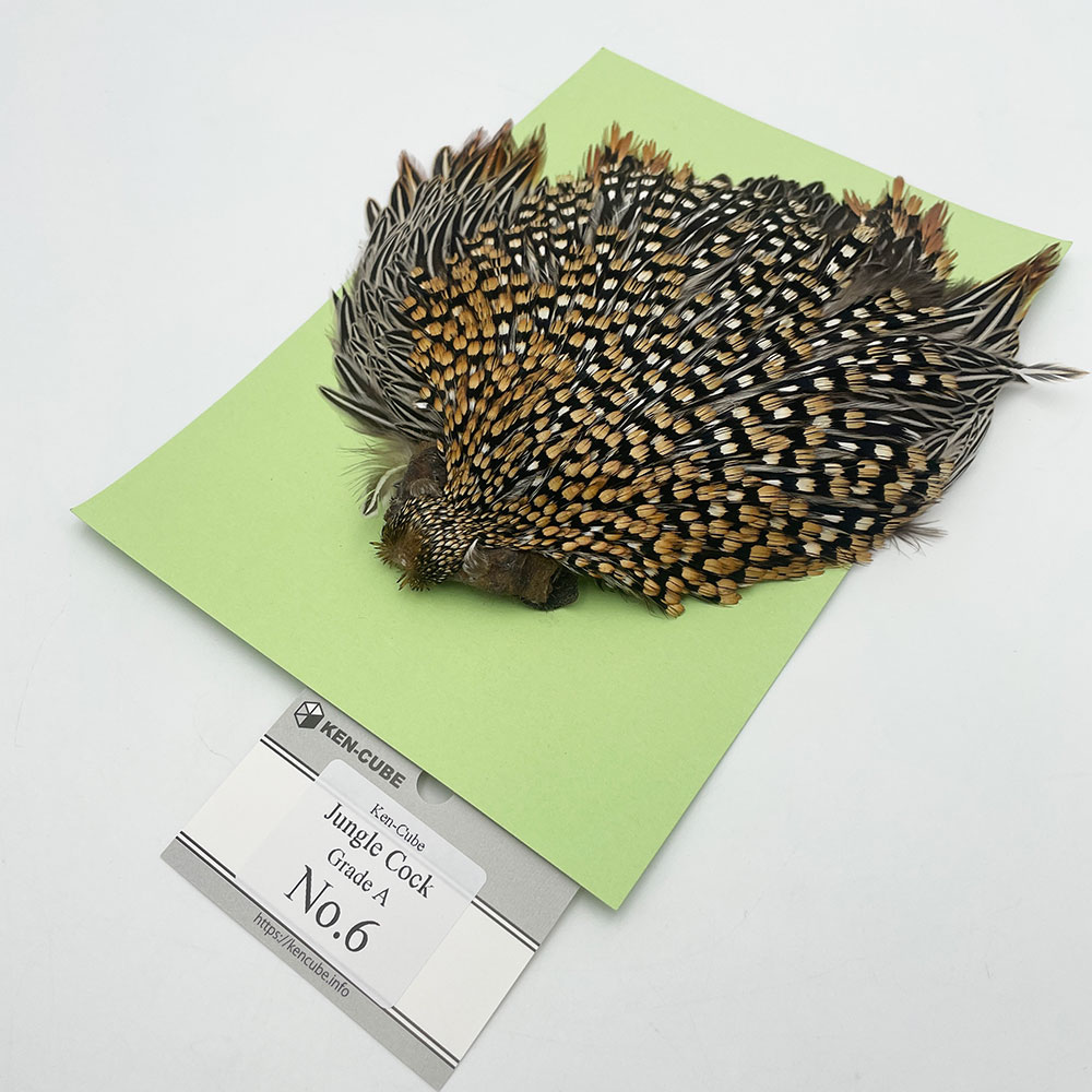 Ken-Cube ジャングルコック Grade A （No.6）