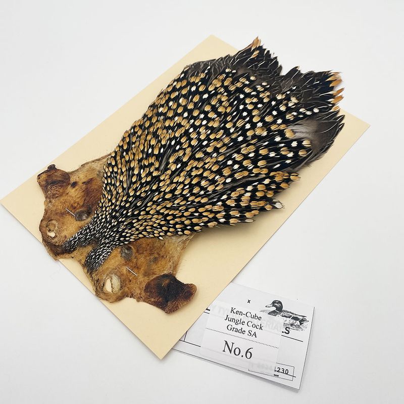 ジャングルコック