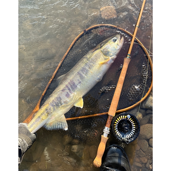 Classic #8 11ft (スイッチロッド)