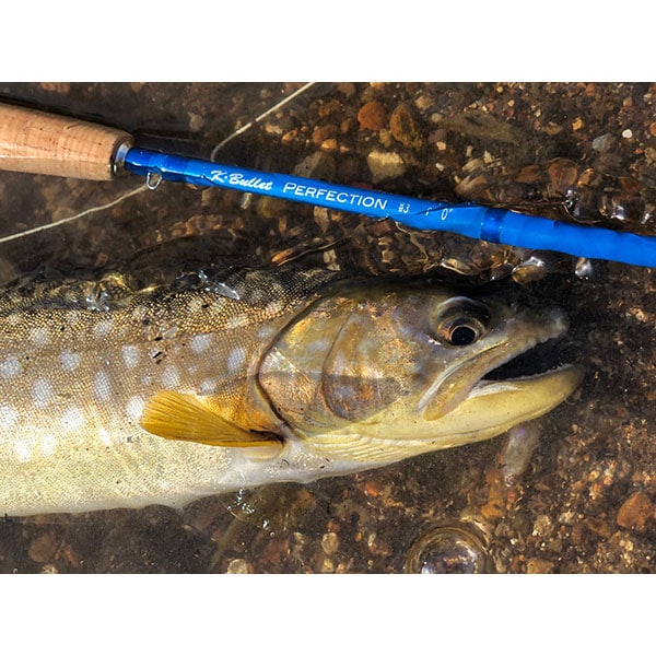 Perfection (パーフェクション) 9ft #3