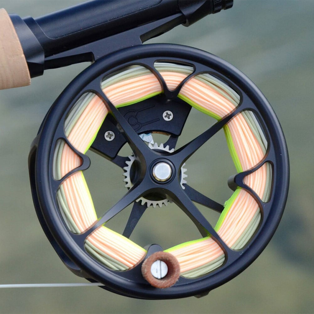 ROSS REEL COLORADO 2/3