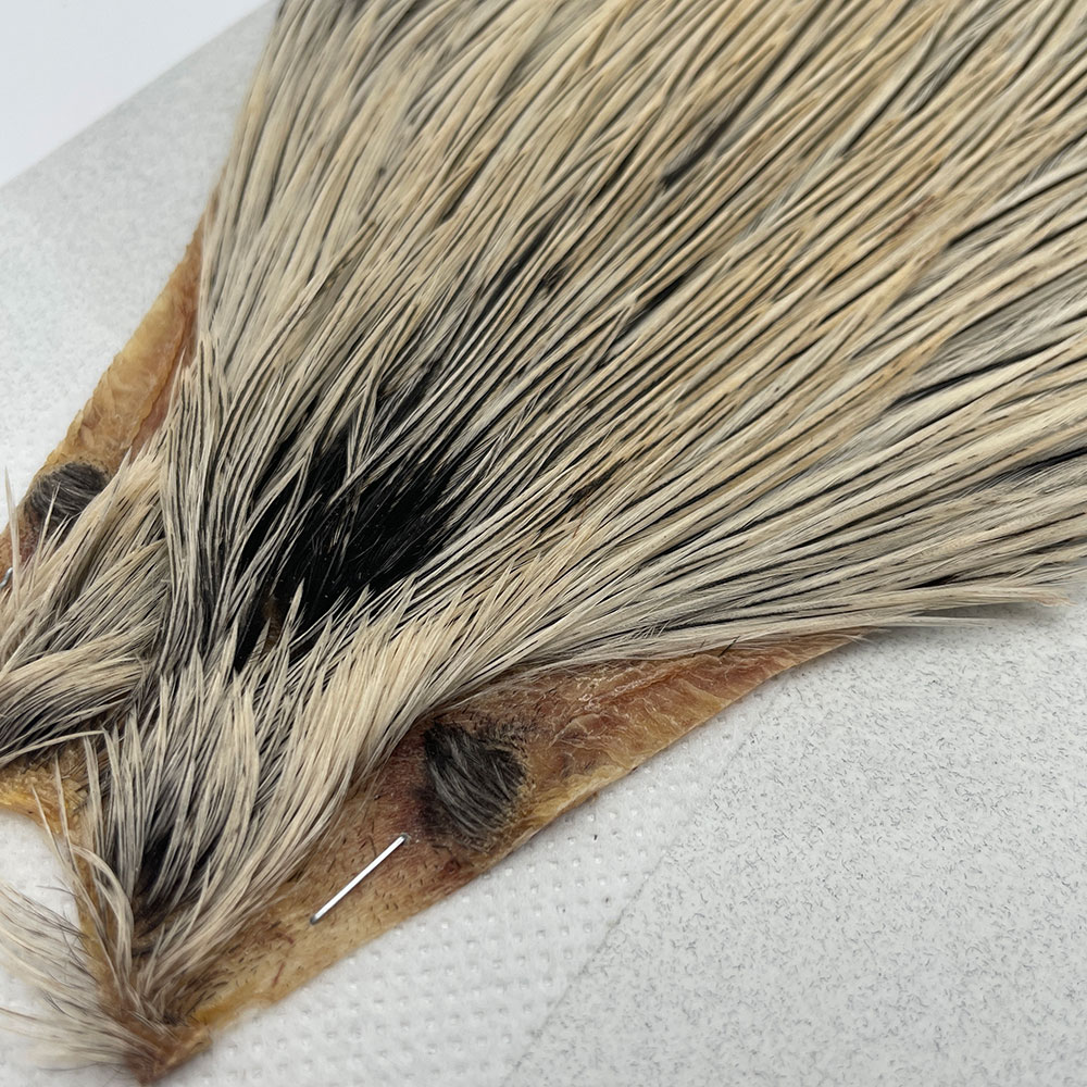 KEOUGH ハックルケープ ＃2 バジャー NO.1