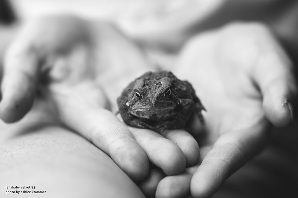 4_000000004326.jpg?1678209908