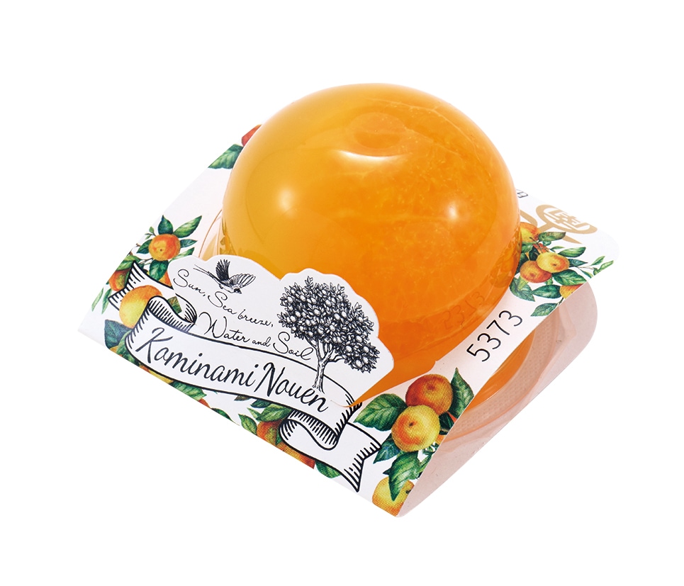 田村みかんフルーツまるごとゼリー94g | すべての商品 | 小南農園の