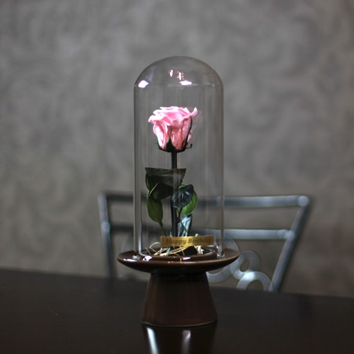 ピンクローズ プリザーブドフラワー ガラスドーム | プリザーブド