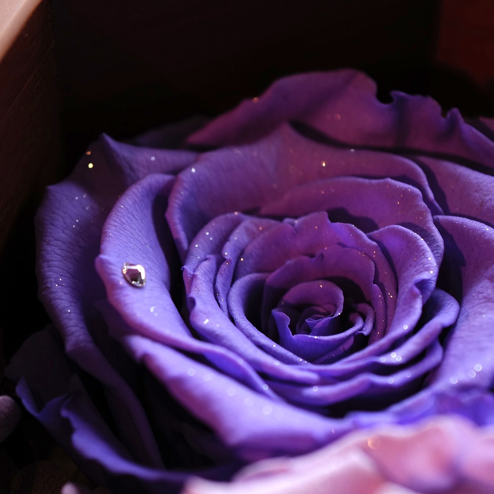 バイオレットローズ プリザーブドフラワー 8角BOX | スタイルから探す