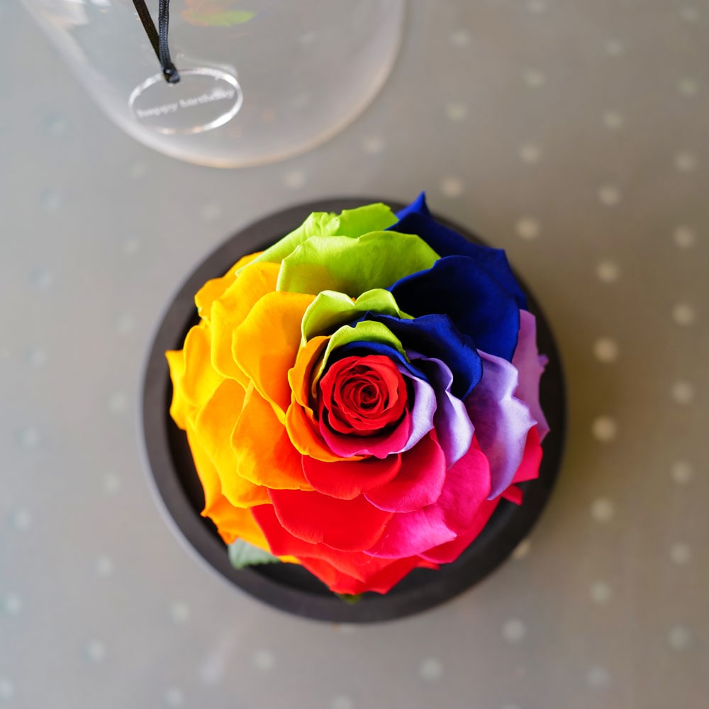 プリザーブドフラワー レインボーローズ ハートフェルト | スタイル