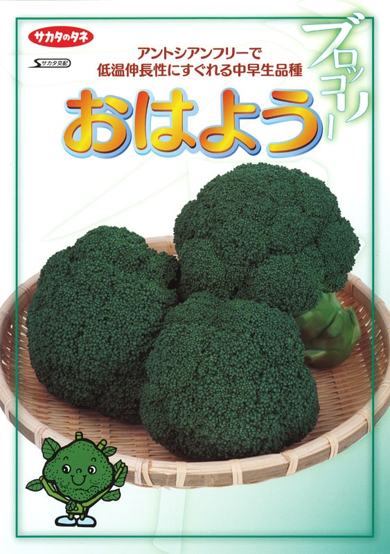 サカタのタネ ブロッコリー種子 おはよう【取り寄せ注文】＊種子有効