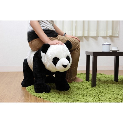 2_000000010008.jpg?1678209905