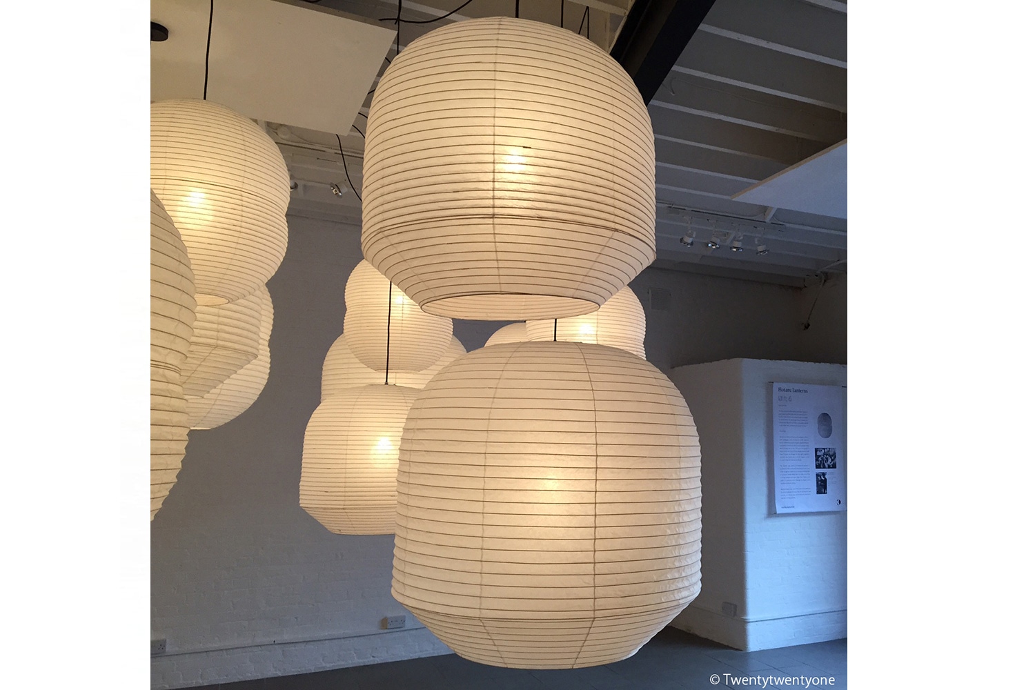 えどほたる DB-S DOUBLE BUBBLEモデル スモールサイズの通販 | 家具