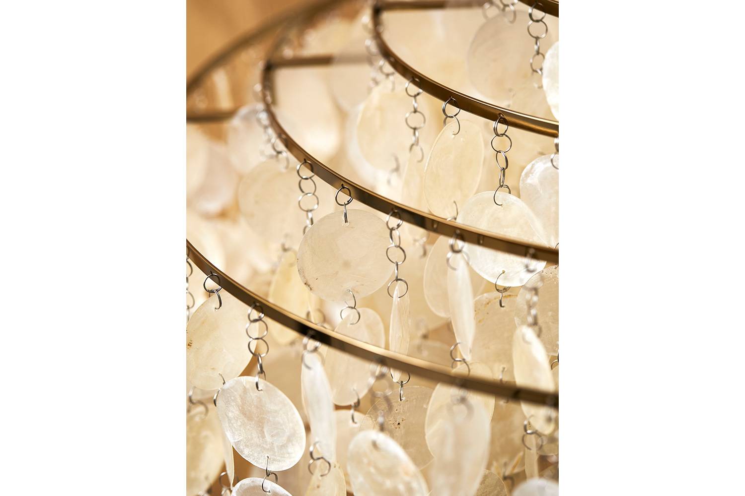 ファン シェル 10DM / 11DMの通販 | 家具・インテリア通販 MAARKET