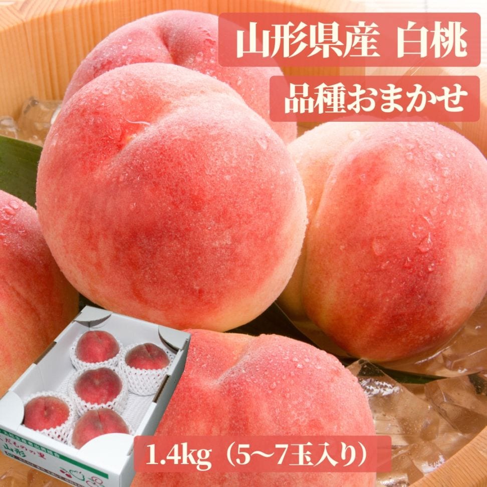 送料無料】山形県産白桃「品種おまかせ」1.4kg(5-7玉)