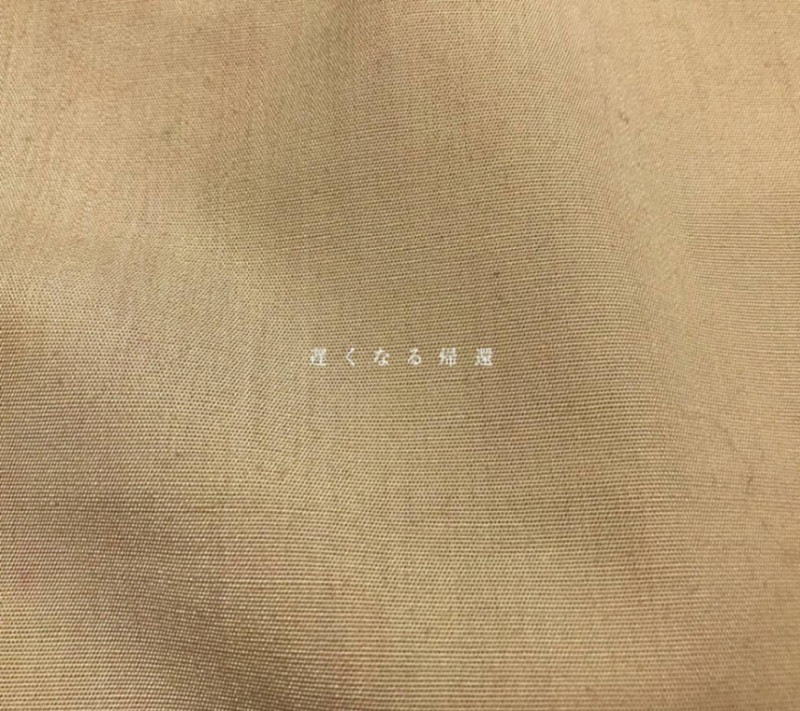 さよならポエジー / 遅くなる帰還 | CD,日本,ギターロック / 歌モノ